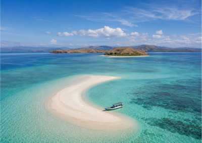 Indonesia - Labuan Bajo - WHALE SHARKS TO KOMODO DRAGONS LIVEABOARD EXPEDITIONS - 2