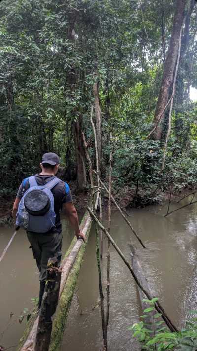 Colombia - Amazonas - 9-tägige Survivalexpedition durch den Amazonas - 1