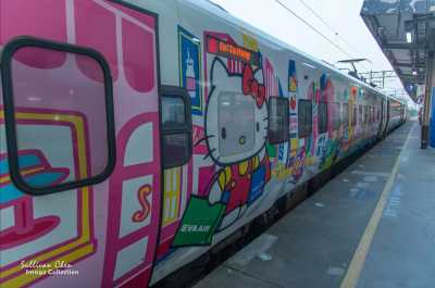 Taiwan - Taipei City - 🇹🇼 Taiwan by Rail: 16 Days of Cherry Blossoms, Culture, & Coastal Views 🏮 (PRIVATE ROOMS) - 1