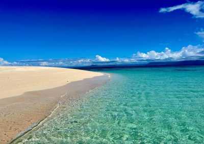 Australia - Great Barrier Reef - 🐊🪸 Ancient Daintree meets The Great Barrier Reef: A Week in Port Douglas, Australia 🐢🇦🇺 - 4