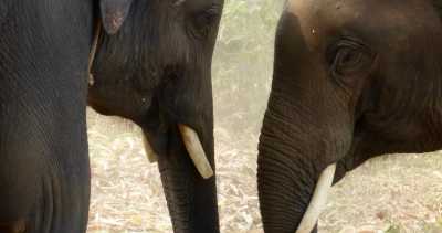 Thailand - Chiang Mai - Luxury All-inclusive Adventure in Thailand (part 1): 8-day trip exploring Bangkok, Chiang Mai, Ayutthaya & Pattaya - 3