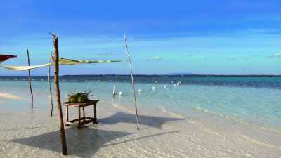 Philippinen - Bohol - 15-Day Adventure in the Philippines: Whale Sharks, Island Hopping & Hidden Paradises - 2