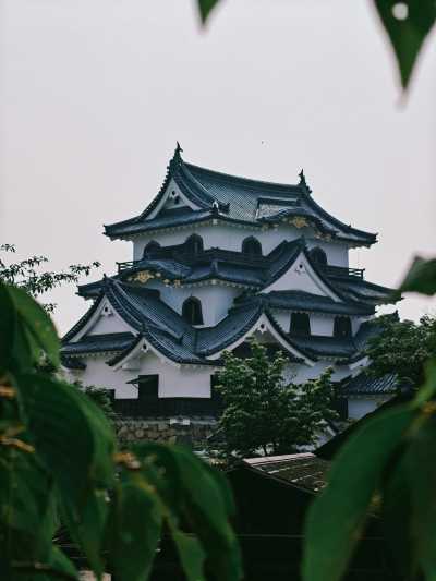 Japan - Hikone Castle - 🍜 The Golden Route Reimagined: 14 Nights Through Osaka, Kyoto, Hikone & Tokyo 🎎 (PRIVATE ROOMS) - 1
