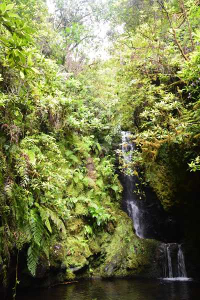 Portugal - Ponta Delgada - Madeira  SPECIAL ADVENTURE - off the beaten path
