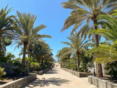 Spanien - Roque Nublo - ✨ Carnival Celebration in Gran Canaria 🎭☀️| Feb 23 – March 1 - 2