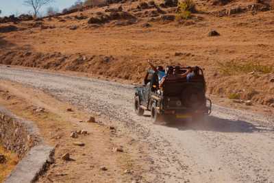 India - Ranthambore National Park - 9-Day India: Holi, Tigers & Beyond the Golden Triangle - 2