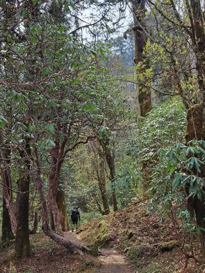 Nepal - Makalu Rural Municipality, Sankhuwasabha - Makalu Base Camp Trek: Journey to the Fifth Highest Peak - 2