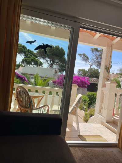Spanien - Ibiza - Urlaub auf Ibiza - in einem süßen Bungalow (EINZELZIMMER) direkt am Meer! - 6
