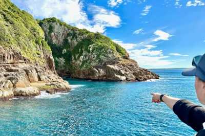 Australia - Port Stephens Bay - 🇦🇺 🐋 Whales, Waves & Wildlife: 7 Days of Australian Adventure in Newcastle 🦘🐨 (PRIVATE ROOM) - 1