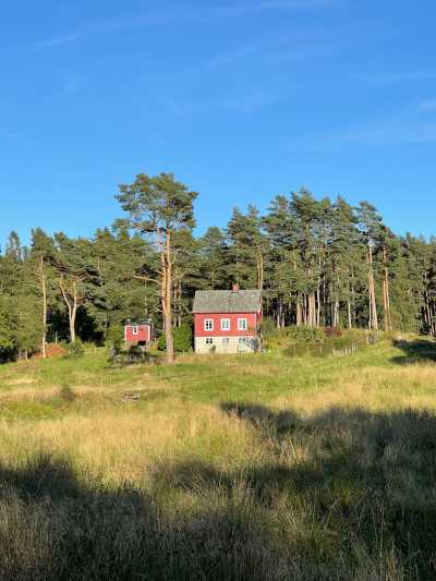 Norway - Stavanger - Central Norway Summer Adventure: Scenic Drives and Breathtaking Hikes - 1