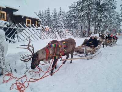 Finnland - Finnland: Von Helsinki bis Rovaniemi - Nordlichter, Husky Tour, Santa Claus & Polar Express - JoinMyTrip