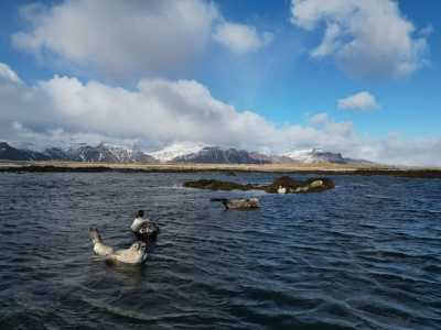 Island - Ólafsvík - Winter Adventure in Iceland: Volcanos, Waterfalls, Natural Thermal Pools and Breathtaking Landscapes - 2