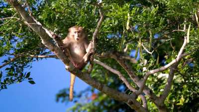 Vietnam - Lady Buddha - The Vietnam Experience (Part I): From the Hai Van Pass to the Dragon Bridge - Eat, explore and enjoy life in Da Nang City 🇻🇳🏖 #NotAnotherRetreat - 5
