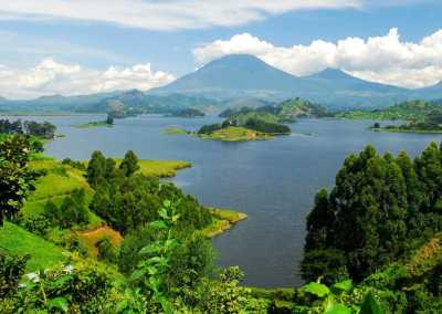 Uganda - ViaVia Entebbe - Uganda: Self drive 4x4 Land Cruiser 🦍🌿Gorilla & Rhino tracking! Coffee, Waterfalls & Hikes 🇺🇬 - 2