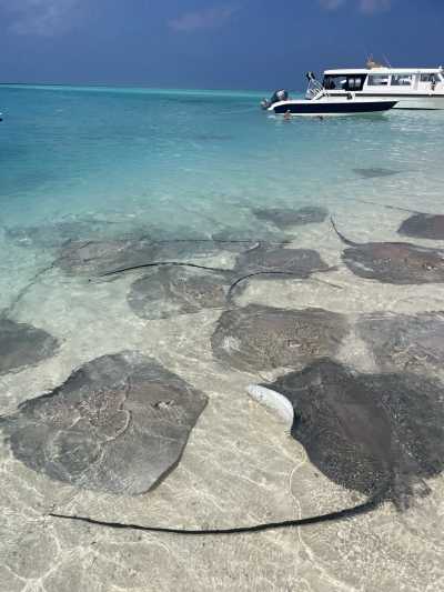 Maldives - Maafushi - Between Two Islands: Maafushi & Dhigurah Experience 🌴 - 4