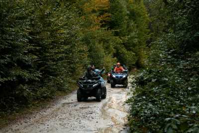 Sweden - Bograngen - Swedish Summer Adventure with my huskies 🐾🇸🇪 | Hikes, Lakes & Waterfalls in Wild Värmland - 1
