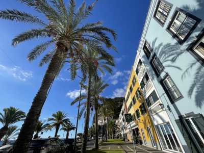 Portugal - Ponta do Sol - Modern, Spacious & Beautiful Coliving Villa in prime location - Funchal, Madeira | Adventure, Nature and Fun on the Dream Island of Madeira 🌴 | Large Private Suite with Bathroom and Balcony - 1