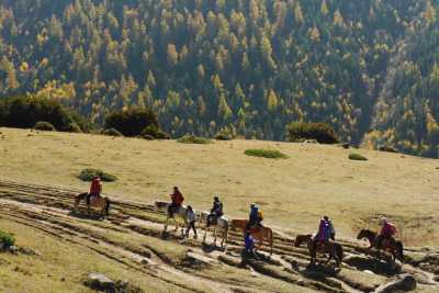 China - Tagong Grassland - Exploring Western China: Cities, Rivers, Sacred Peaks and Tibet experience in Sichuan - 1