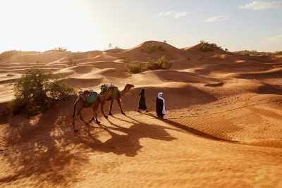 Marokko - 🐫 Explore the Sahara Desert, Morocco in 3 Days Trip - JoinMyTrip