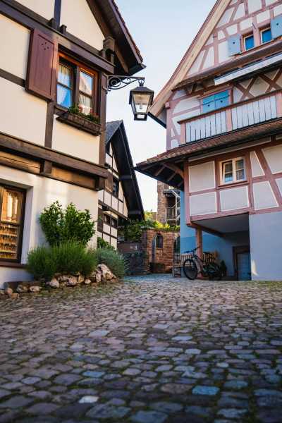 Germany - Gengenbach - Best of the Black Forest, Germany with my huskies 🇩🇪🐾 | Hiking | Outdoors | Historic towns