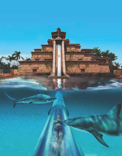 Vereinigte Arabische Emirate - Aquaventure Waterpark - 𝗘𝘅𝗽𝗹𝗼𝗿𝗶𝗻𝗴 𝘁𝗵𝗲 𝗽𝘂𝗿𝗲 𝗟𝗶𝗳𝗲𝘀𝘁𝘆𝗹𝗲 𝗼𝗳 𝗗𝘂𝗯𝗮𝗶 3.𝟬 🇦🇪🏎🐪 - 3