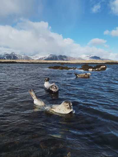 Iceland - Snæfellsnes - Iceland Highlands Summer Adventure: Explore the Breathtaking Beauty of the Highlands - 1