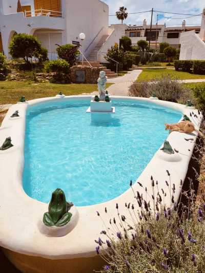 Spanien - Ibiza - Urlaub auf Ibiza - in einem süßen Bungalow (EINZELZIMMER) direkt am Meer! - 4
