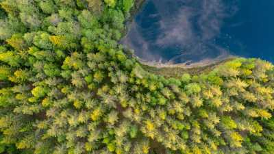 Sweden - Hovfjället AB - Swedish Summer Adventure with my huskies 🐾🇸🇪 | Hikes, Lakes & Waterfalls in Wild Värmland - 1