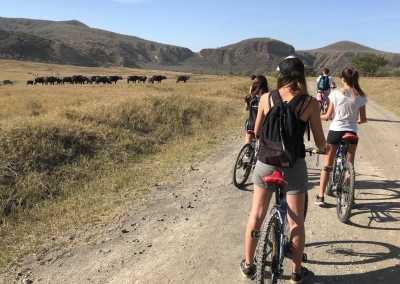 Kenya - Hells Gate National Park - Epic Budget Safari: Amboseli, Hell’s Gate, Lake Naivasha, Nairobi National Park