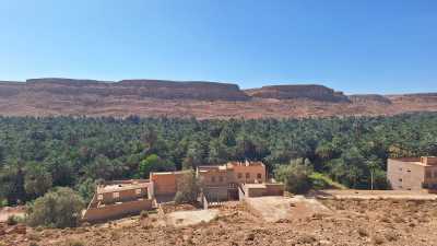 Morocco - Ziz Oasis - Moroccan Roadtrip - Into the Desert - 4