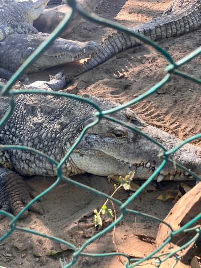 Mexiko - Parque Nacional Lagunas de Chacahua - Authentic Mexico Full of Positive Energy: Mexico City, Tepoztlan, Oaxaca Beach (Chacahua-Zipolite) - 4