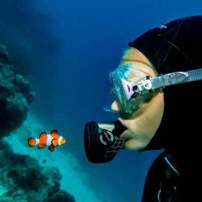 Australien - Great Barrier Reef - 🌴🪸 Daintree to Great Barrier Reef: A Co-Working Retreat in Port Douglas, Australia 🐠🇦🇺 - 7