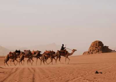 Jordanien - Wadi Rum Desert - 🇯🇴 Roadtrip Through Jordan: Ancient Cities, Desert Skies & Dead Sea 🏜️🌌 #NotAnotherRetreat - 5