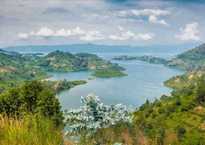 Ruanda - Kibuye - RWANDA! Self-drive 4x4 landcruiser 🐒🦍🍃 Chimpanzee tracking, Canopy walk, Tea plantation, Volcanoes National park 🇷🇼 - 2