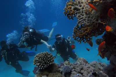 Australien - Great Barrier Reef - 🌴🪸 Daintree to Great Barrier Reef: A Co-Working Retreat in Port Douglas, Australia 🐠🇦🇺 - 13