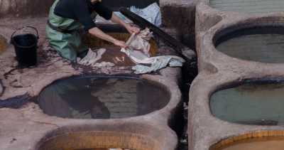 Marokko - Fes - Morocco Sahara Adventure | From Fes to the Desert with an Italian-Speaking Group - 3