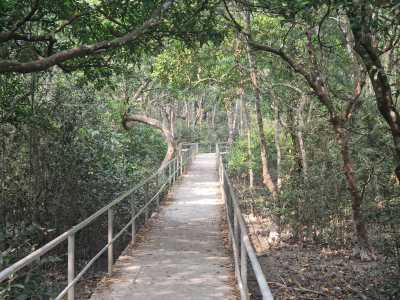 Bangladesch - Khulna - Bangladesh Adventure – Between Rivers, Tea Hills & Ancient Cities - 2