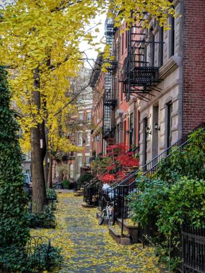 Vereinigte Staaten - Greenwich Village - 🗽🥯 A Taste of Manhattan: 4 Days of Food, History & City Magic in NYC 🌃 - 1