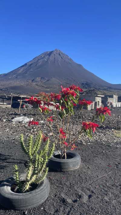 Cabo Verde - Fogo - WANDERREISE: Inselüberquerung Santo Antao & Besteigung des Vulkan Fogo (Kapverden) - 1