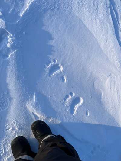 Svalbard - Longyearbyen - SVALBARD - THE NORTH IS CALLING - 5