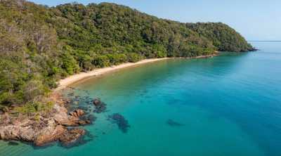 Australia - Cow Bay - 🌴🪸 Daintree to Great Barrier Reef: A Co-Working Retreat in Port Douglas, Australia 🐠🇦🇺 - 2