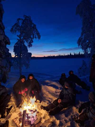 Sweden - Lannavaara - Wild North Expedition Above The Arctic Circle - Snowmobiling, Northern Lights & Dog Sledding - 2