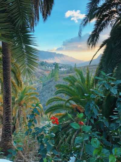 Spain - Gran Canaria - Coworking Trip Gran Canaria ☀️ Las Palmas (Stadtzentrum) - Einzelzimmer - 3