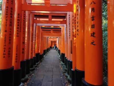 Japan - Kyoto - raditional Japan: A 3-Week Cultural Journey from Kyoto to Tokyo - 5