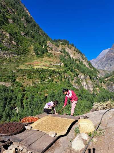 Nepal - Deng - Manaslu Wilderness Trek – Explore the Remote Himalayas in 15 Days - 2