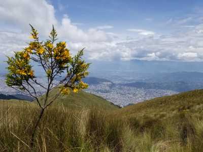 Ecuador - TelefériQo Cable car - Enjoy Quito, Ecuador: Cable Cars with Stunning Views, Horseback Ride Around Volcanoes, Swim in Hot Springs,Taste Ecuadorian Chocolate and More! - 2