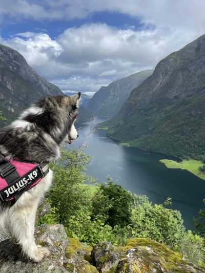 Norway - Nærøyfjord - Best of Norway with my huskies 🐾⛰️ | Jotunheimen, Fjords & Valleys | Hiking trip - 1