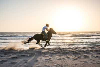  - Dakhla - Explore Dakhla, the Pearl of Moroccan Sahara, while CoWorking - (private room) - 7