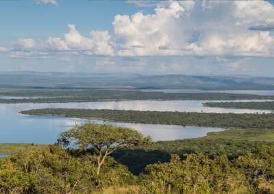 Ruanda - Akagera National Park - RWANDA! Self-drive 4x4 landcruiser 🐒🦍🍃 Chimpanzee tracking, Canopy walk, Tea plantation, Volcanoes National park 🇷🇼 - 1