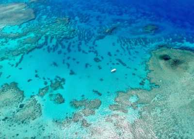 Australien - Great Barrier Reef - 🌴🪸 Daintree to Great Barrier Reef: A Co-Working Retreat in Port Douglas, Australia 🐠🇦🇺 - 1